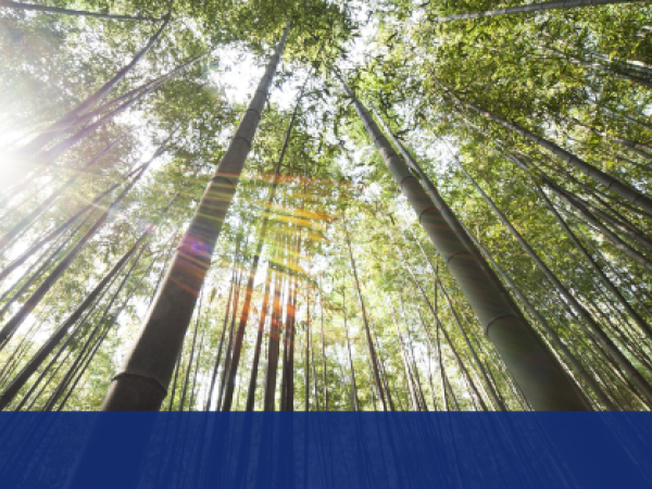 Eco-Friendly Resources