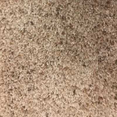 Mohawk Smart Strand Ultra Frieze