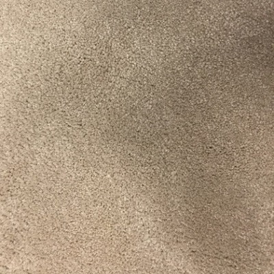 Mohawk Wear Dated Plush