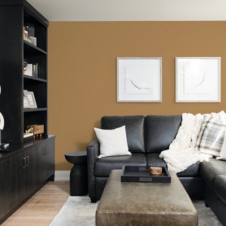 Paint Traditional Interior PPG 14