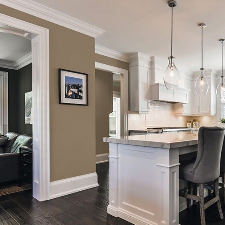 Paint Traditional Interior PPG 19